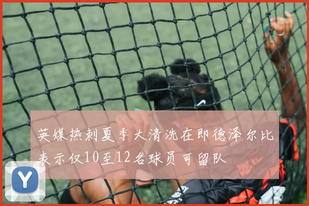 英媒热刺夏季大清洗在即德泽尔比表示仅10至12名球员可留队